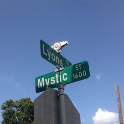 Mystic Lyon